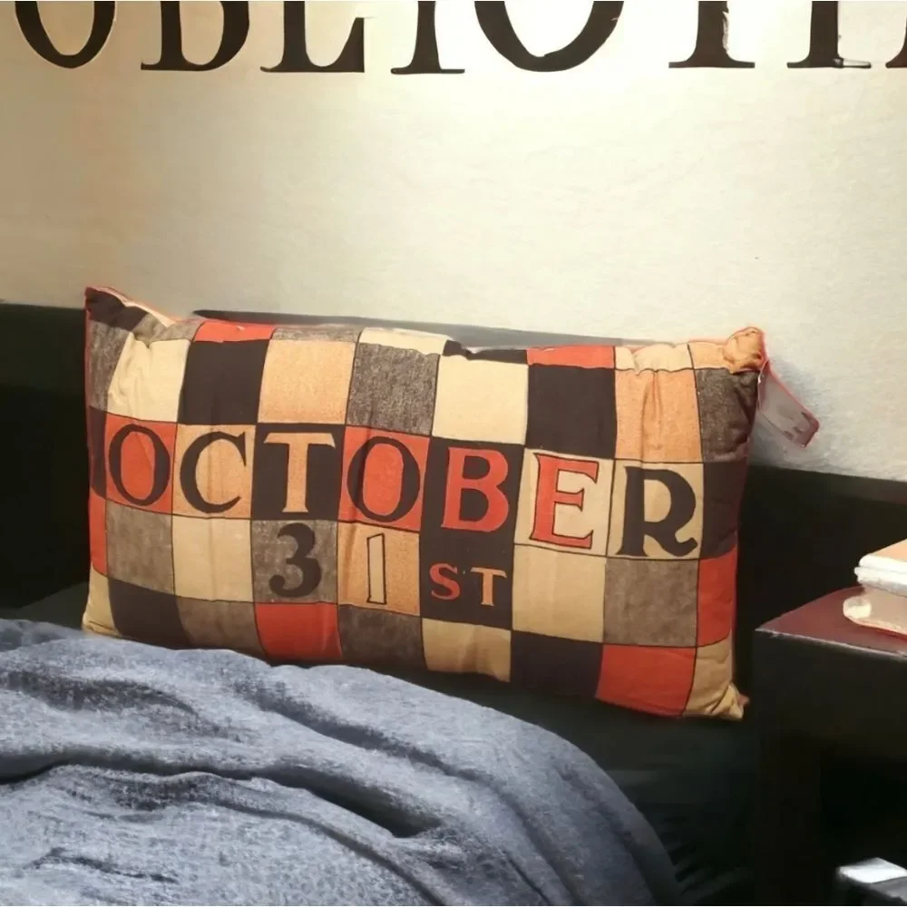 John Derian October Pillow Halloween